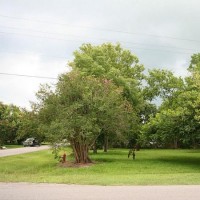 Auction - Residential, For Sale, 5th St, Listing ID 1023, Santa Fe, Texas, United States, 77517,