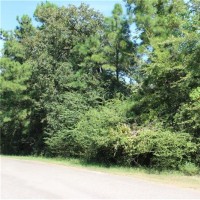 Land - Residential, For Sale, Galleria Oaks Lane, Listing ID 1036, Magnolia, Montgomery, Texas, United States, 77354,