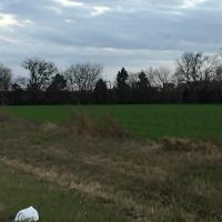 Land - Residential, For Sale, FM 141, Listing ID 1072, Dime Box, Texas, United States, 77853,